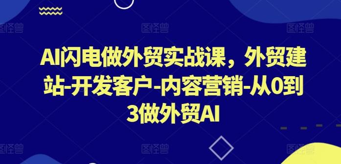 AI闪电做外贸实战课,外贸建站-开发客户-内容营销-从0到3做外贸AI-A5资源网