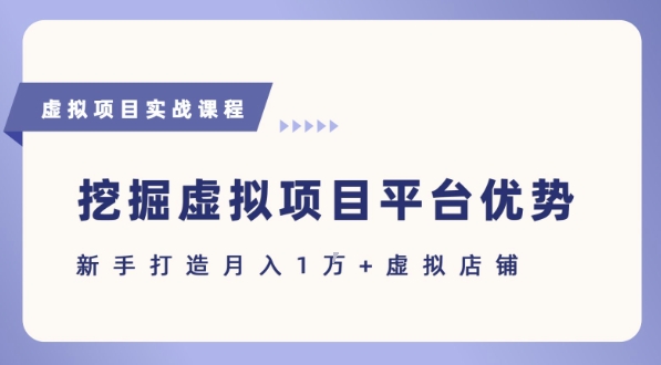 抓住虚拟项目各平台优势，新手轻松月入1W+(给出具体建议)-策里行间