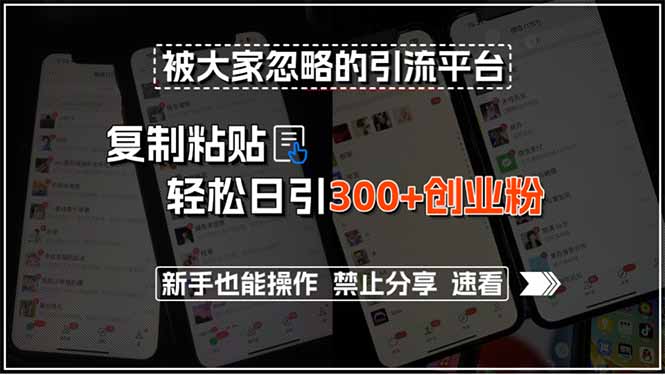被大家忽略的引流平台，复制粘贴轻松日引300+创业粉，新手也能操作，禁…-精品虚拟资源库