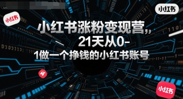 小红书涨粉变现营，21天从0-1做一个挣钱的小红书账号-创新Ovo