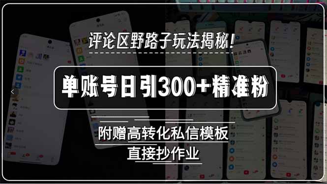 评论区野路子玩法揭秘！单账号日引300+精准粉，附赠高转化私信模板，直…-创新Ovo