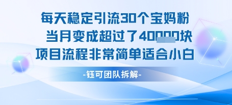 每天稳定引流30个人 当月变成超过了4个W项目流程非常简单适合小白-精品虚拟资源库