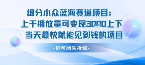 小众蓝海赛道项目：当天变现1k+适合新手操作 +适合长期玩-精品虚拟资源库