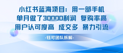 小红书蓝海项目，一部手机单月做了3W利润，小白也能月入过1W用户认可度高成交多-七七项目网
