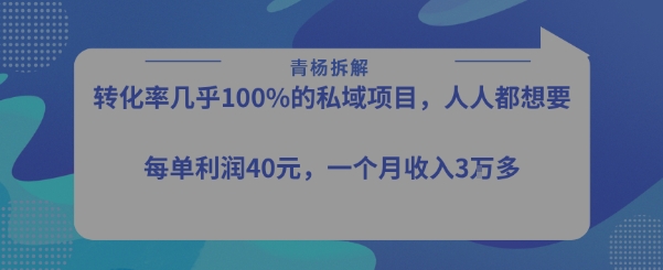 转化率最高的私域项目，每单利润40-50米，月入过1w-精品虚拟资源库