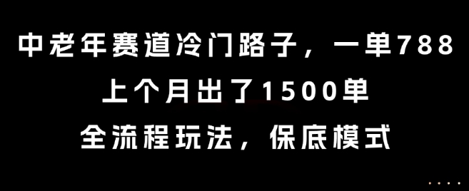 中老年赛道冷门路子，一单788，上个月出了1500单，全流程玩法，保底模式【揭秘】-精品虚拟资源库