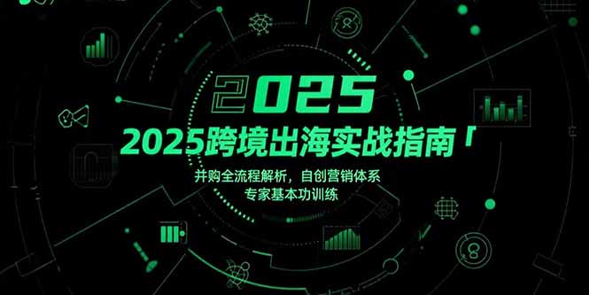 2025跨境出海实战指南，并购全流程解析，自创营销体系，专家基本功训练-爱找项目网