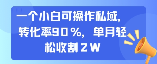 一个小白可操作私域，转化率90%，单月轻松收割2W-精品虚拟资源库