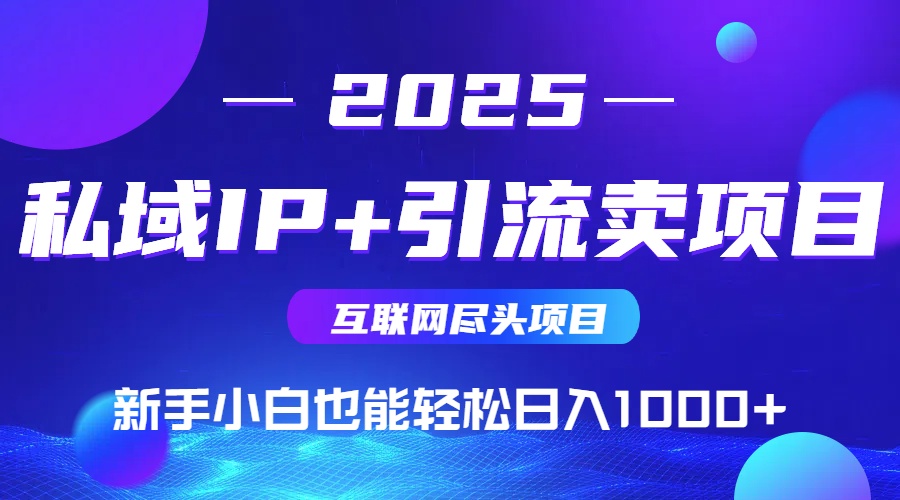 2025网创尽头项目，私域IP+引流，新手小白也能在家日入1000+-小艾网创