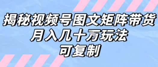 解密视频号图文矩阵带货，月入几个W的打法，可复制-精品虚拟资源库