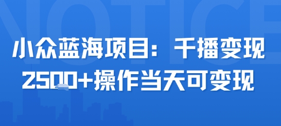 小众蓝海项目，千播变现2.5k+操作当天可变现-精品虚拟资源库
