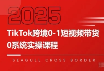 大亿老师·TikTok跨境0-1短视频带货-精品虚拟资源库