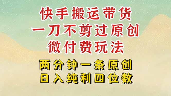 快手黑科技搬运带货，一刀不剪过原创，微付费投流玩法，轻松日入四位数…-小艾网创