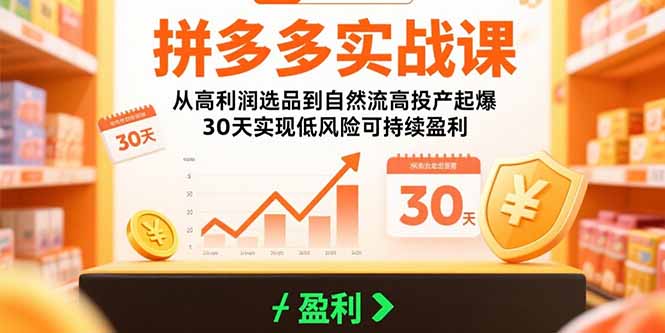 拼多多实战课：从高利润选品到自然流高投产起爆 30天实现低风险可持续盈利-小艾网创