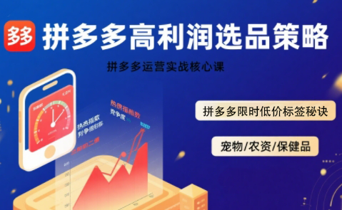久号老师·拼多多选品暴利技术实战课-精品虚拟资源库