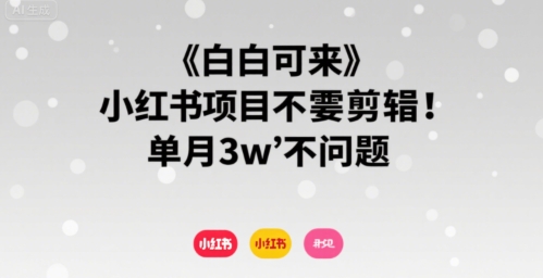 小白可来 小红书项目不需要剪辑 单月3w不是问题-精品虚拟资源库