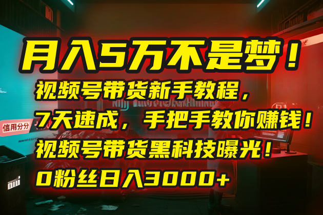 月入5万不是梦！视频号带货新手教程，7天速成，手把手教你赚钱！视频号…-小艾网创