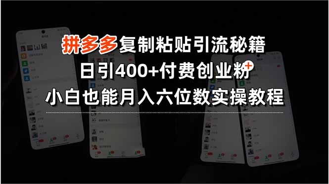 拼多多复制粘贴引流秘籍，日引400+付费创业粉，小白也能月入六位数实操…-小艾网创
