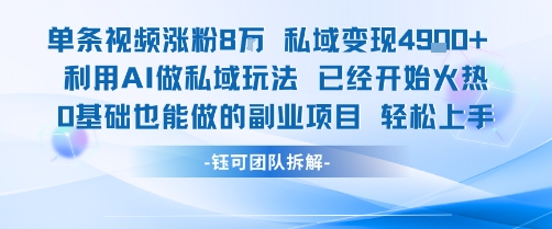 单条视频私域变现4.9k+利用AI做私域玩法 已经开始火热0基础也能做的副业项目轻松上手-小艾网创