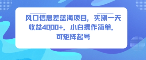 风口信息差蓝海项目，实测一天收益4k+，小白操作简单，可矩阵起号-精品虚拟资源库