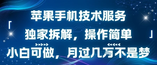 苹果手机技术服务，独家拆解，操作简单，小白可做，月过1W不是梦-小艾网创