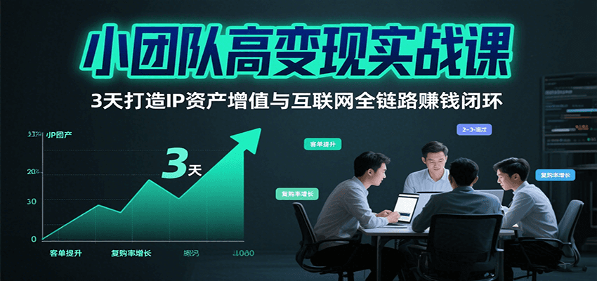 小团队高变现实战课，3天打造IP资产增值与互联网全链路赚钱闭环(第二期)-新时光资源网