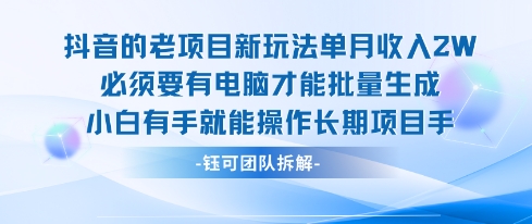 老项目新玩法单月收入2W小白有手就能操作长期项目-爱找项目网