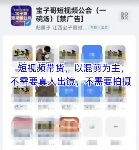 宝子哥头部团队短视频带货，以混剪为主，不需要真人出镜，不需要拍摄【更新8月】-精品虚拟资源库