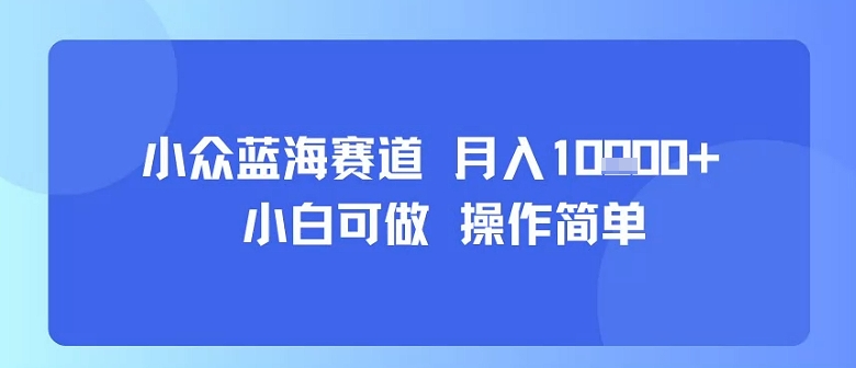 小众蓝海赛道，小白可做，操作简单，每天30分钟，月入1W+-白马联创