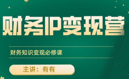 有有老师·财务IP变现营，财务知识变现必修课-世界代码分享网