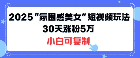 不露脸也能火！2025“氛围感美女”短视频玩法，30天涨粉5W小白可复制-巴叔叔资源网