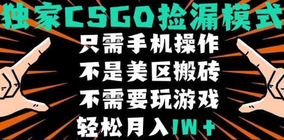 CSGO自动捡漏项目，最新独家玩法，不是美区搬砖，不需要了解和玩游戏，新手小白轻松月入1W+【揭秘】-观棋网创
