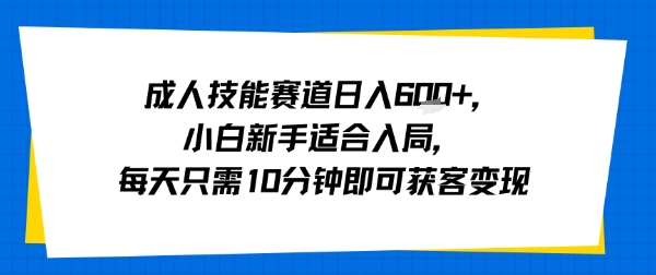 成人技能赛道日入多张，小白新手适合入局，每天只需10分钟即可获客变现-棕熊云分享