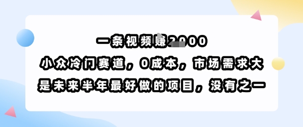 一条视频挣1k，小众冷门赛道，0成本，市场需求大，是未来半年最好做的项目，没有之一-白马联创