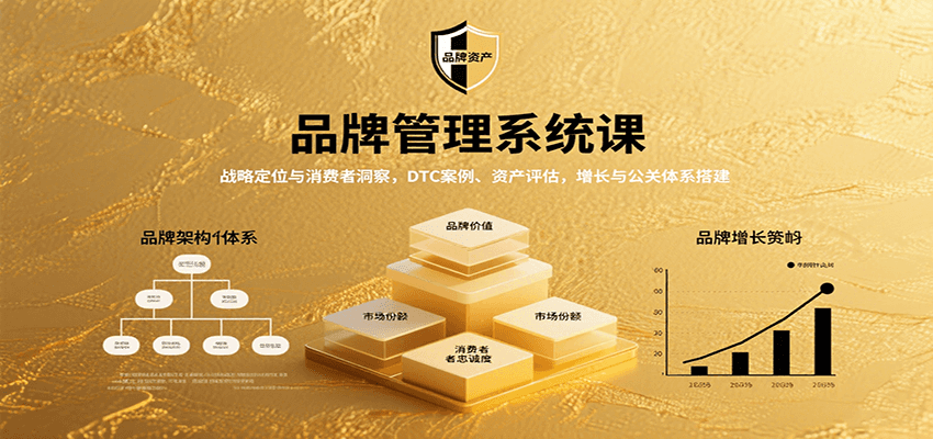 品牌管理系统课：战略定位与消费者洞察，DTC案例、资产评估，增长与公关体系搭建-白马联创