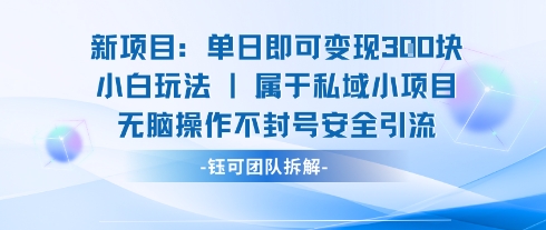 新项目单日即可变现3张的小白玩法无脑操作不封号安全引流-我爱发帖