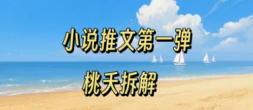 小说推文项目操作全流程第一弹，0粉就能做，门槛低非常适合新手-我爱发帖