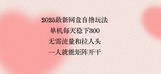 2025最新网盘自撸玩法，单机每天稳下3张，无需流量和拉人头，一个人就可轻松矩阵，全网独一份【揭秘】-我爱发帖