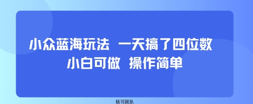 小众蓝海玩法 一天搞了四位数 小白可做 操作简单-我爱发帖