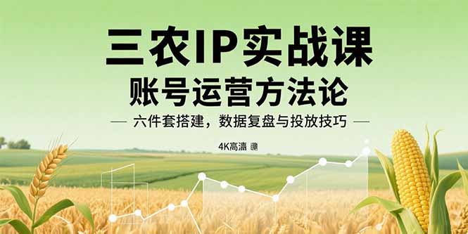 三农IP实战课：账号运营方法论，六件套搭建，数据复盘与投放技巧-我爱发帖
