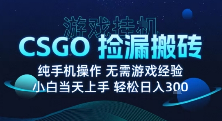 8月最新游戏搬砖，CSGO纯挂G，不需要玩游戏，实现真挂G，月入1W+【揭秘】-我爱发帖