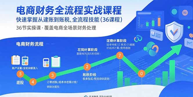 电商财务全流程实战课程：快速掌握从建账到报税的全流程技能(36节课-我爱发帖