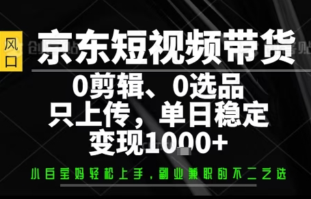 你出账号，我来运营，保底日入1k+，开启躺賺模式【揭秘】-798资源站