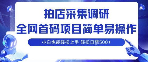 拍店采集调研，全网首码项目，简单易操作， 小白也能轻松上手，多账号操作，轻松日入5张【揭秘】-锋越云网创
