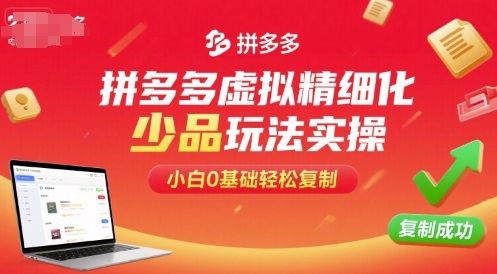 拼多多虚拟精细化少品玩法实操，小白0基础轻松复制-胜利号