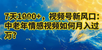 7天收益1k+，视频号新风口：中老年情感视频如何月入过W?-胜利号