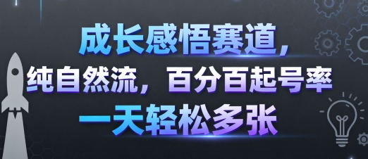 成长感悟赛道，纯自然流，百分百起号率 一天轻松多张 - 副业联盟-副业联盟