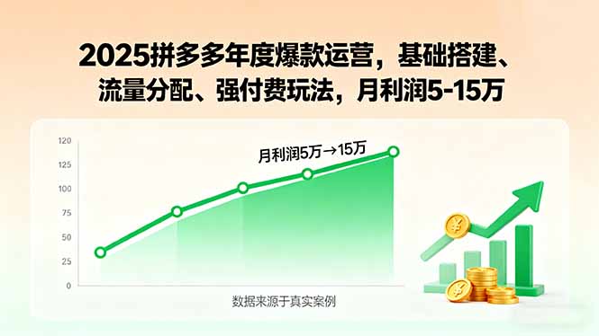 2025拼多多年度爆款运营，基础搭建、流量分配、强付费玩法，月利润5-15万