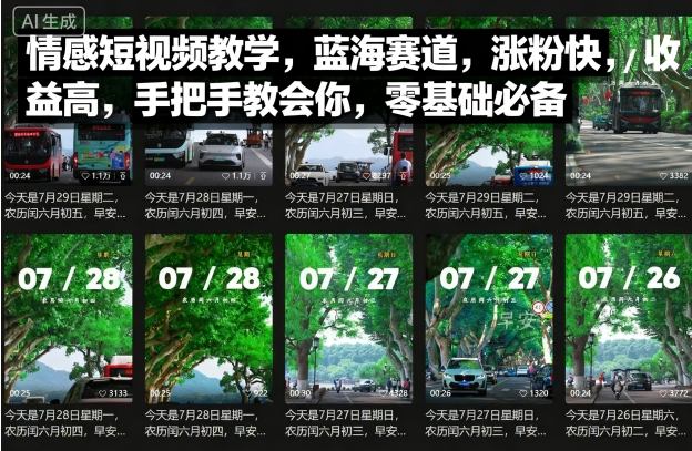 情感短视频教学，蓝海赛道，涨粉快，收益高，手把手教会你，零基础必备 - 抖音快手 - 飞猪源码网-飞猪源码网