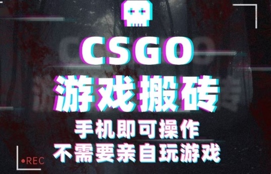 CSGO游戏挂G捡漏，单日扫货5张+，年底小高峰上车可吃肉，手机即可操作，兼职副业创业网创【揭秘】-新时光资源网